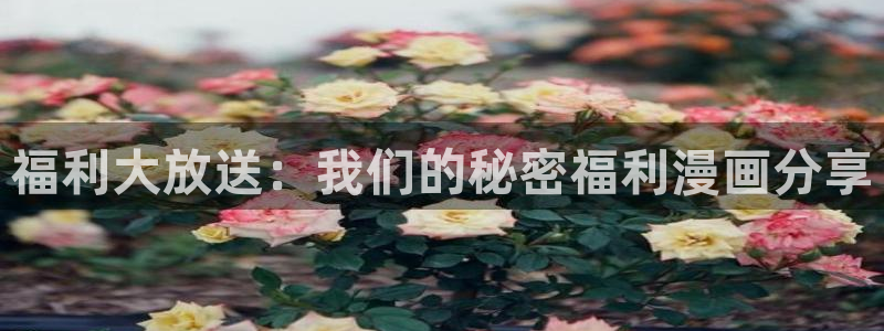 虫虫漫画免费阅读：福利大放送：我们的秘密福利漫画分享