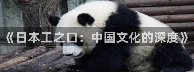 虫虫漫画现在：《日本工之口：中国文化的深度》